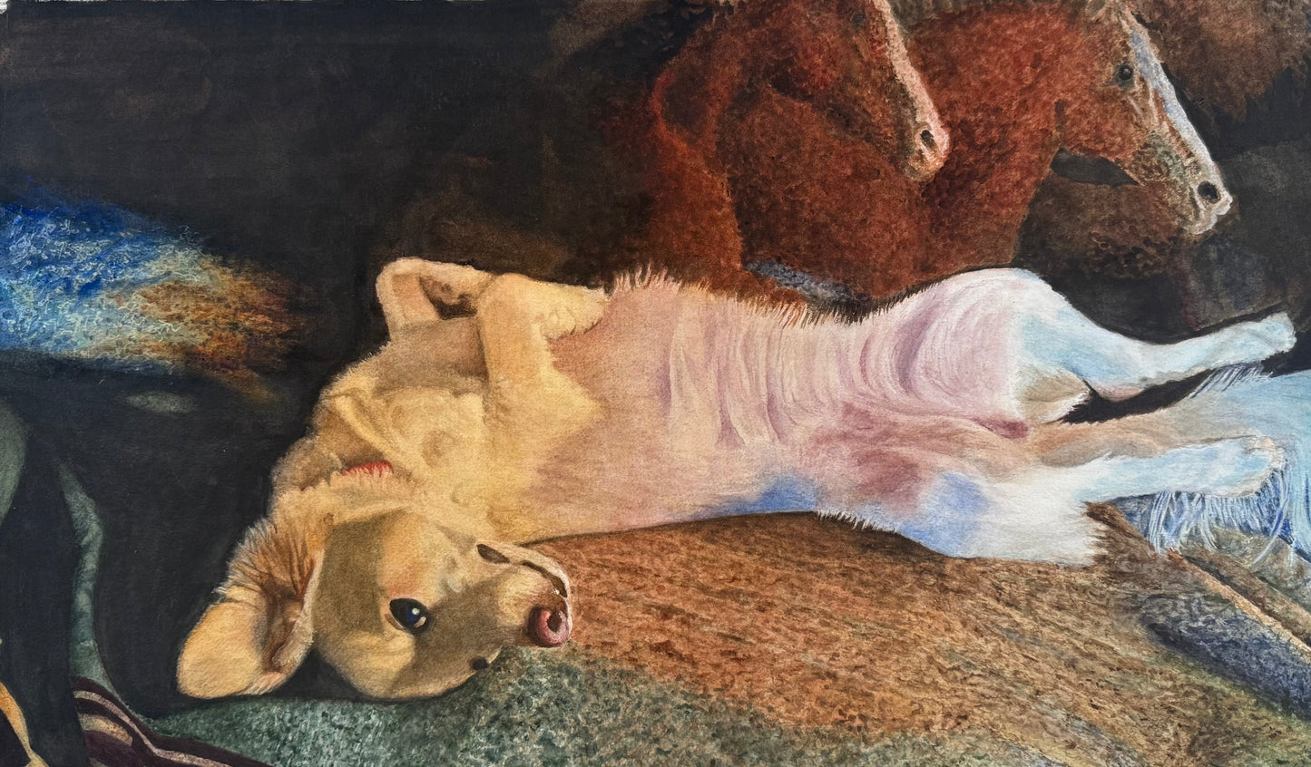 On Grandma's Blanket