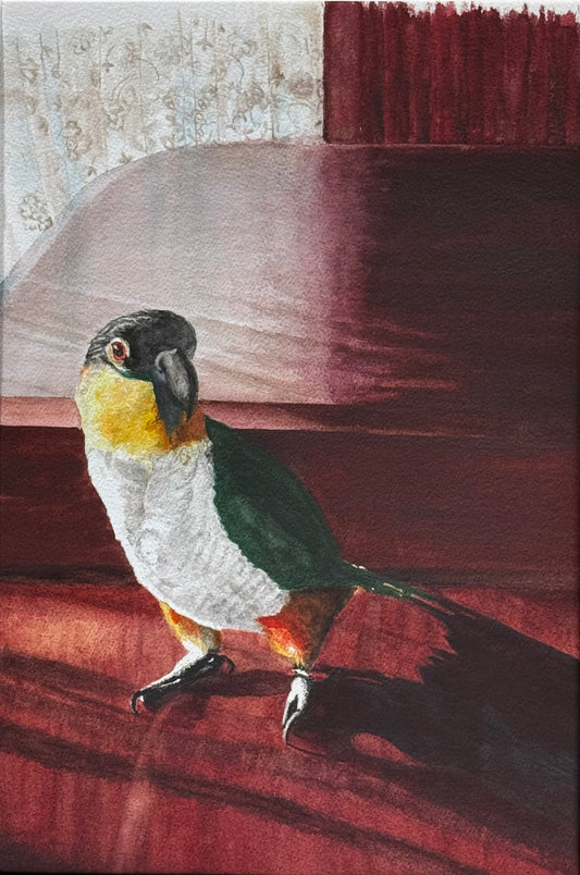 Playing On The Piano