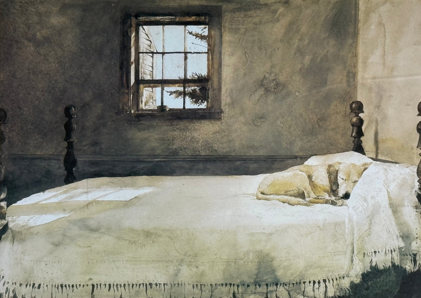 Catching a Dream