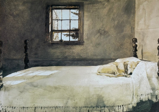 Catching a Dream