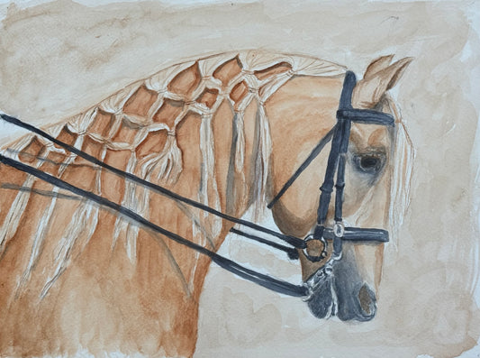 Dressage 2