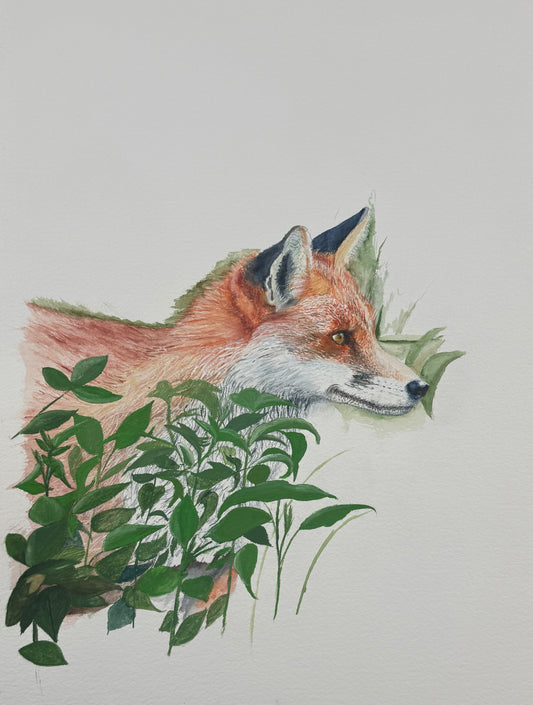 Foxy