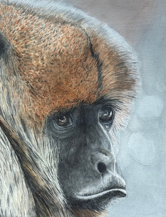 Much More Than A Monkey