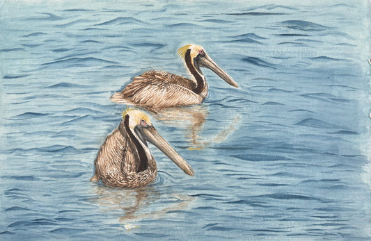 Pelican Pals