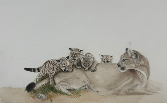 The Cubs