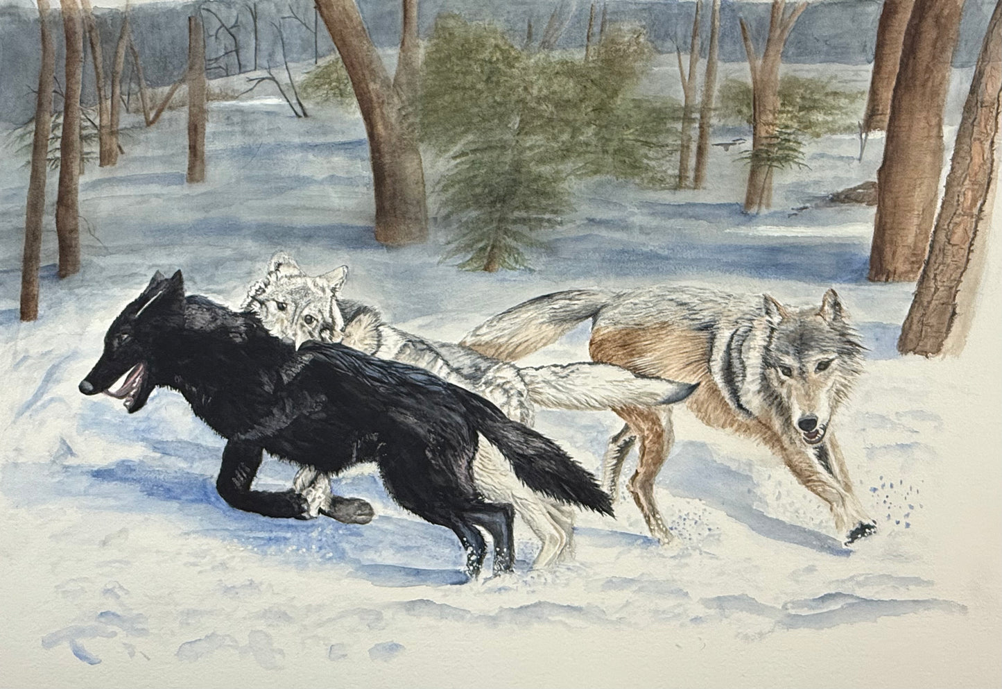 The Pack