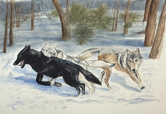 The Pack