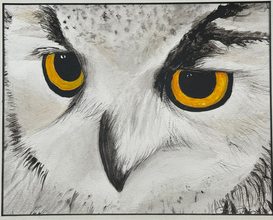 What a Hoot