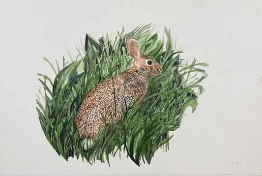 White Tail